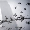 Pigeons take flight against the faint buildings in Columbus Circle during a snowstorm, Monday, Feb. 1, 2021, in New York. (AP Photo/Wong Maye-E)