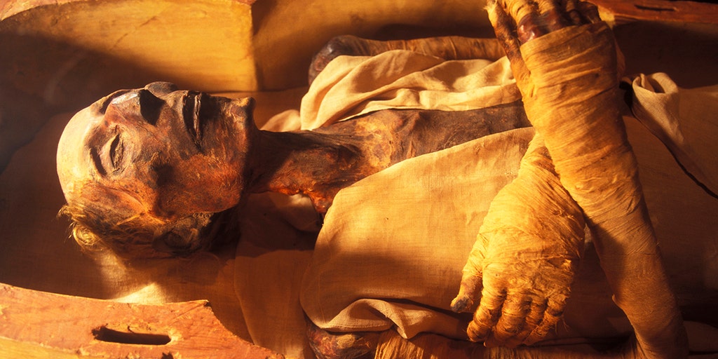 Oldest known mummification how-to guide reveals gruesome embalming details - Vimarsana News
