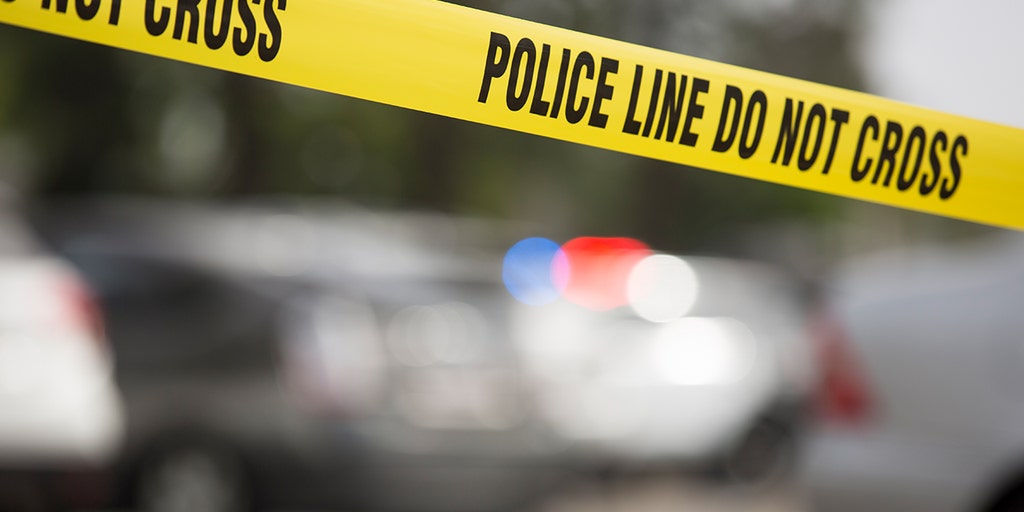 New York sheriff's deputy and son shot to death in home, wife in critical condition - Vimarsana News
