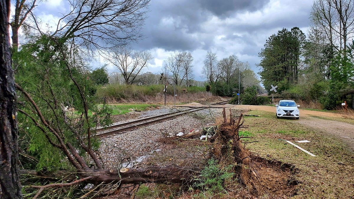 A tree was blown down along side the railroad tracks in northeast Lincoln County, Miss., following a mid morning bout of severe weather, Wednesday, March 17, 2021. Forecasters believe more severe weather is expected Wednesday with the potential for massive tornadoes, downpours and hail the size of tennis balls. (Brett Campbell/The Daily Leader)