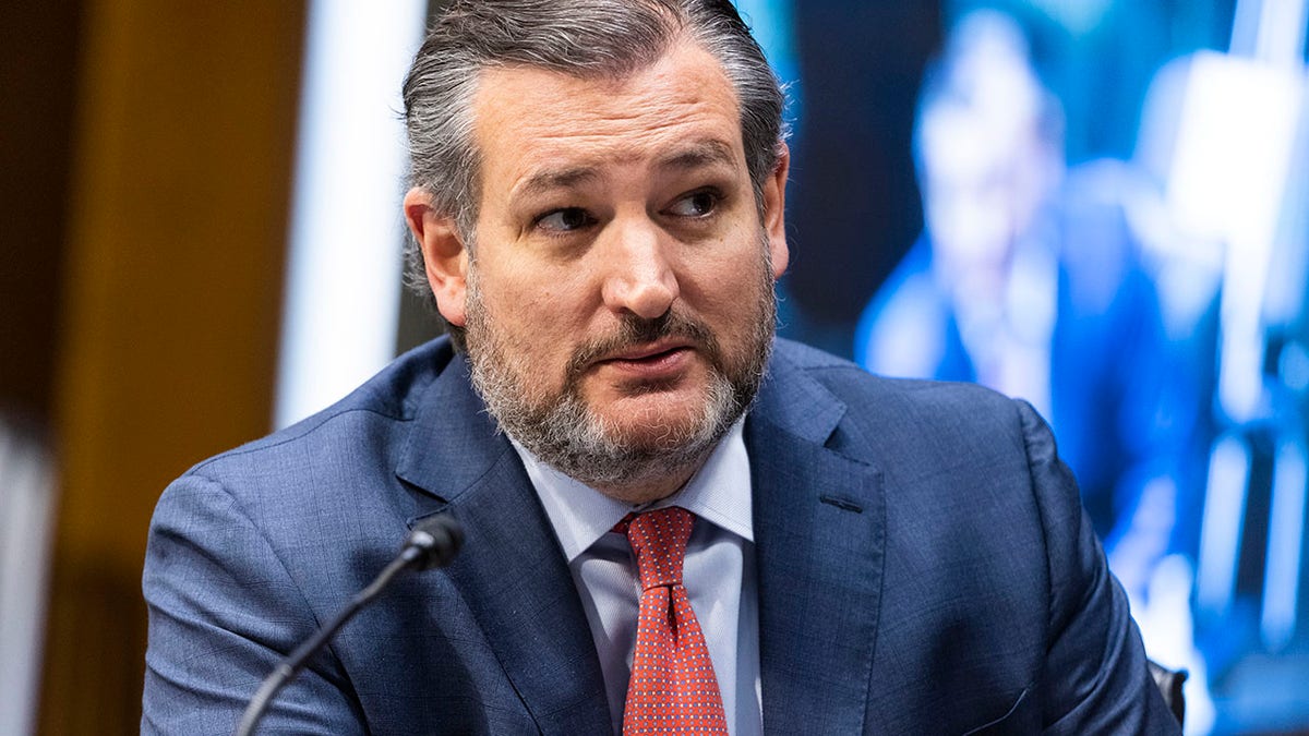 Senator Ted Cruz appears in a suit with a full salt-and-pepper beard