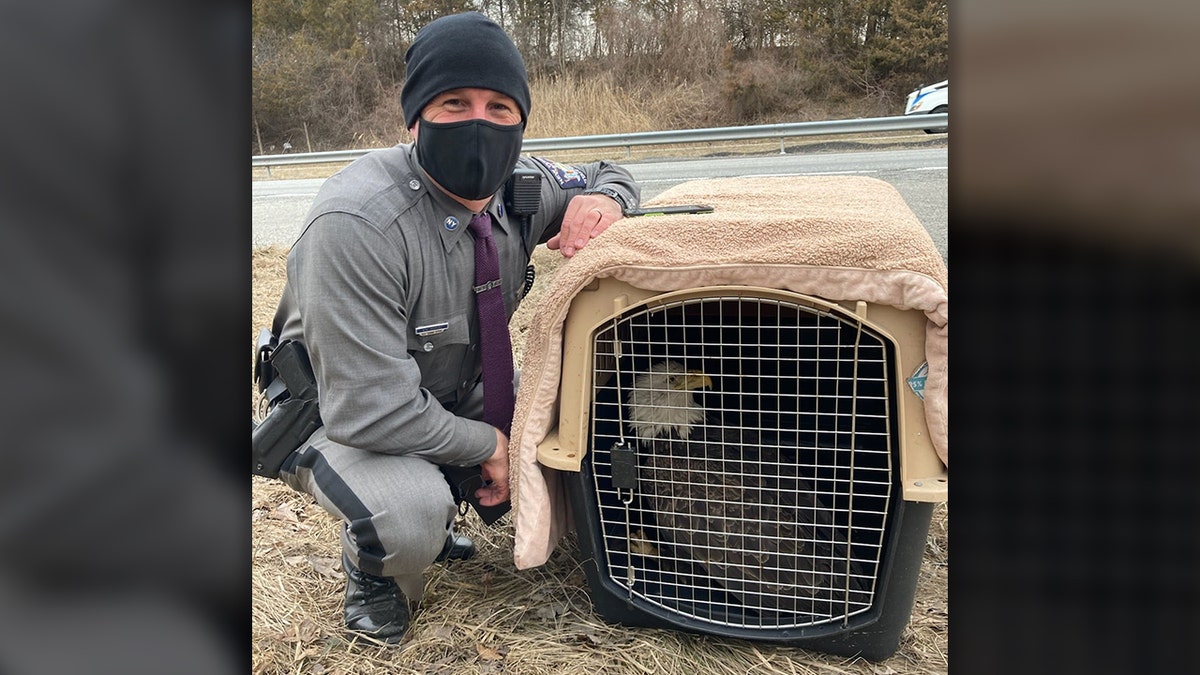 State police said Trooper Bryan Whalen put on his K-9 bite gear and urged the bird safely into a transport container provided by the Warwick Valley Animal Rescue.
