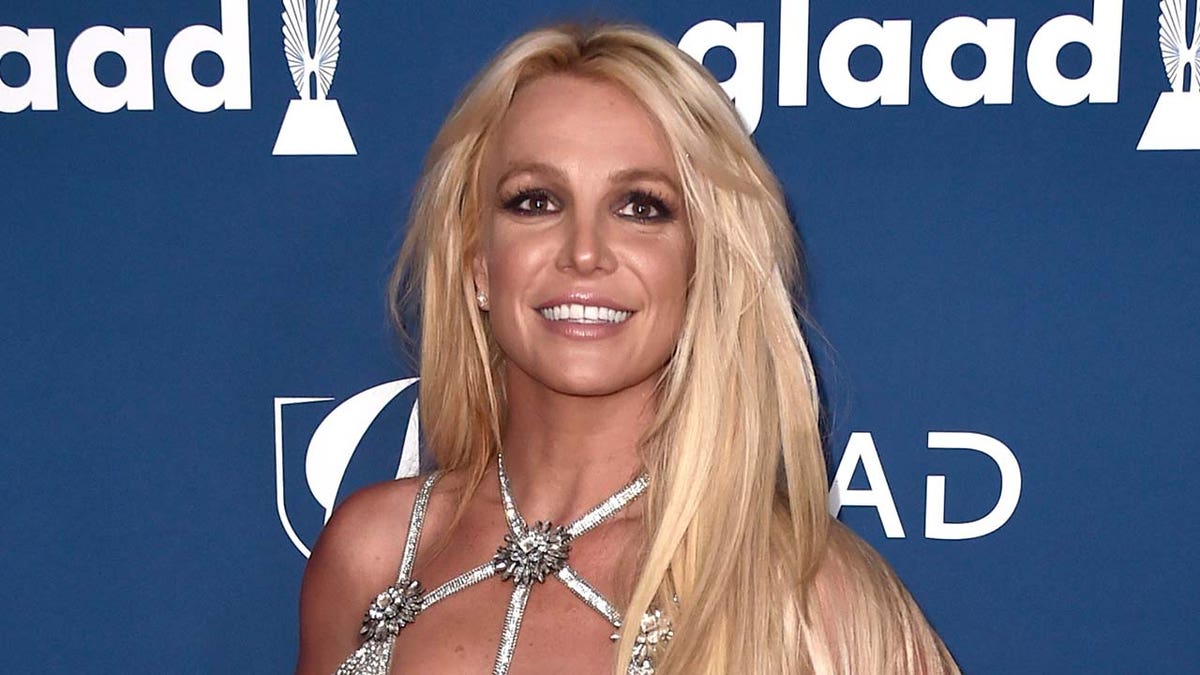 'Framing Britney Spears' examined the singer's life and career. (Photo by Alberto E. Rodriguez/Getty Images)