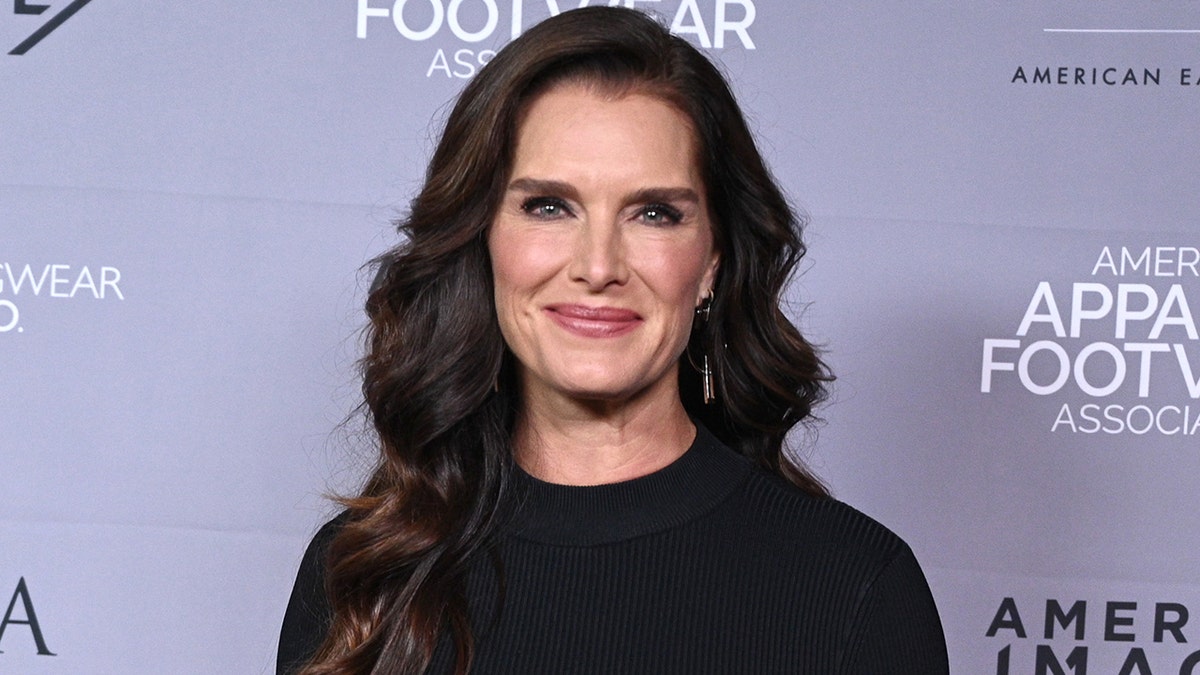 Brooke Shields has shared a handful of images from her immediate recovery from a bone-breaking accident in New York. (Photo by Dave Kotinsky/Getty Images for AAFA American Image Awards)