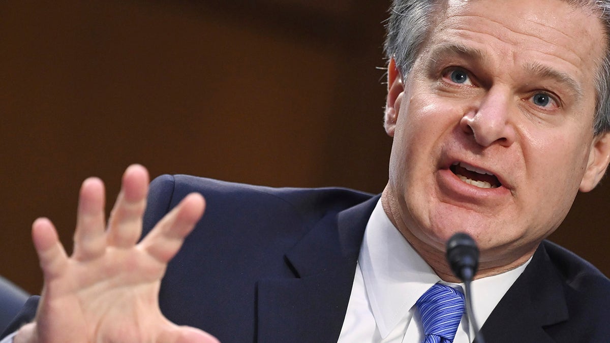 FBI Chief Says CBP Facing 'heck Of A Challenge' With National Security ...