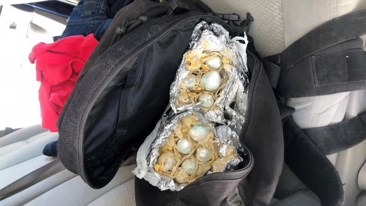 Packages of fentanyl pills smuggled inside burritos.