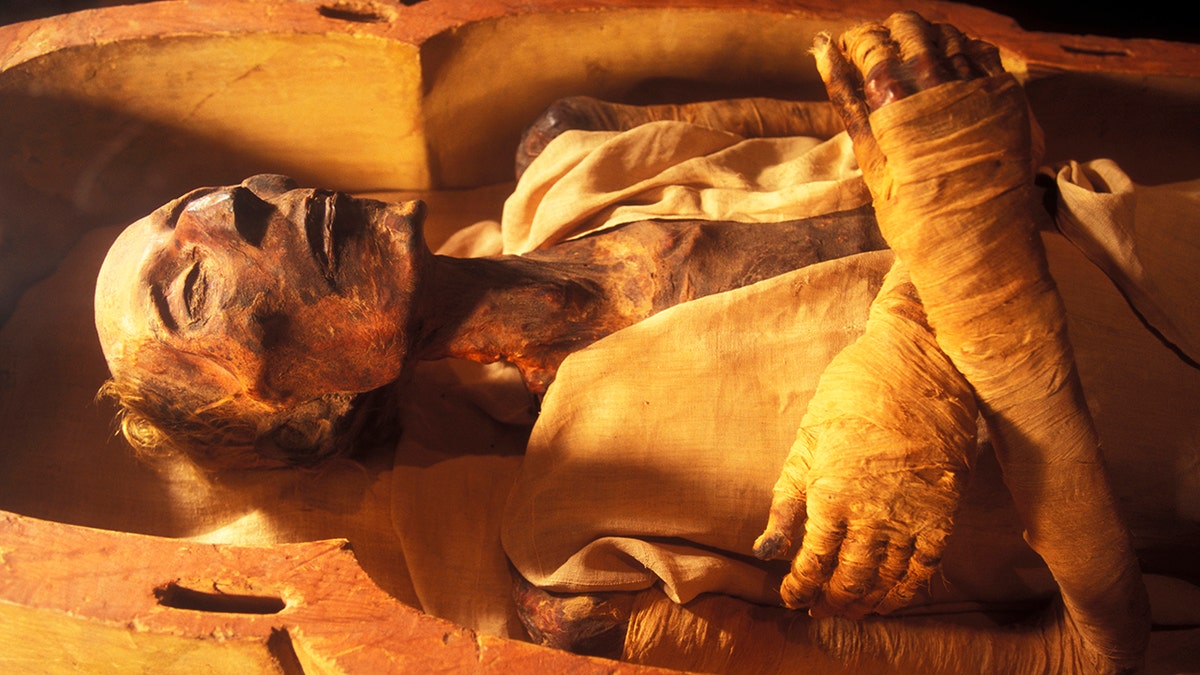 The mummy of Ramses II (1301-1235 BC), son of Sethy I, in April 2006, at Cairo Museum, Egypt. The mummy was discovered with the other royal mummies in the Deir el Bahari hiding place by Maspero, Ahmed Bey Kamal and Brugsch Bey. (Photo by Patrick Landmann/Getty Images)