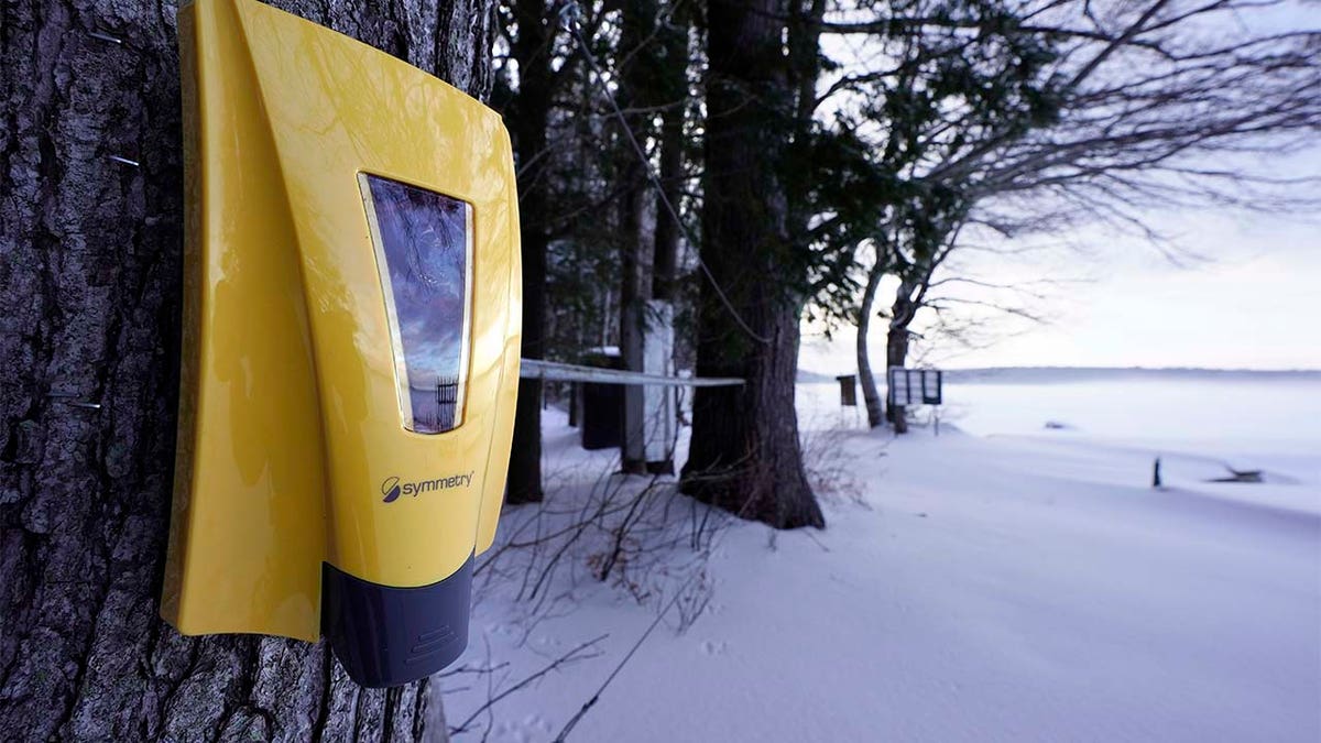 A hand sanitizer dispenser remains mounted to a tree at Camp Fernwood, a summer camp for girls, Saturday, Feb. 20, 2021, in Poland, Maine. (AP Photo/Robert F. Bukaty)