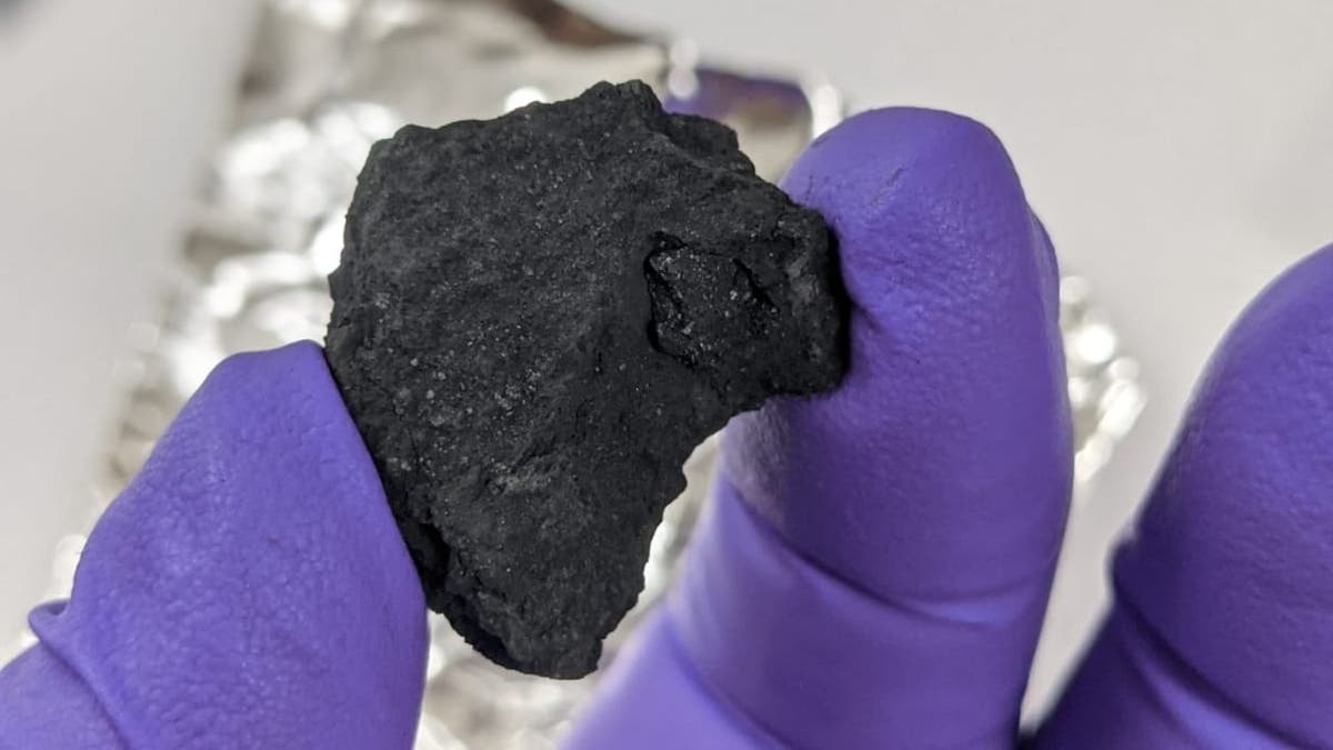 The fragment is a rare "carbonaceous chondrite," meaning it contains the so-called "ingredients for life:" organic compounds and amino acids.