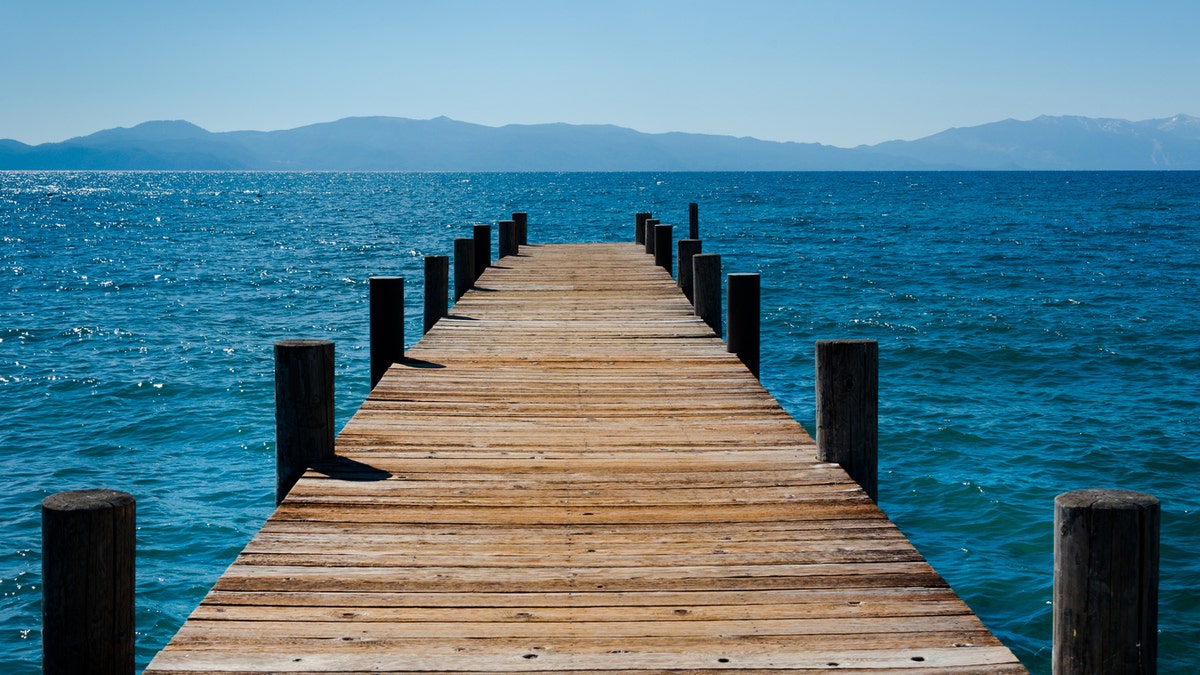 A couple lost the bride's wedding ring during their recent ceremony at Lake Tahoe, when it fell into the lake between the cracks of the dock they were standing on. 