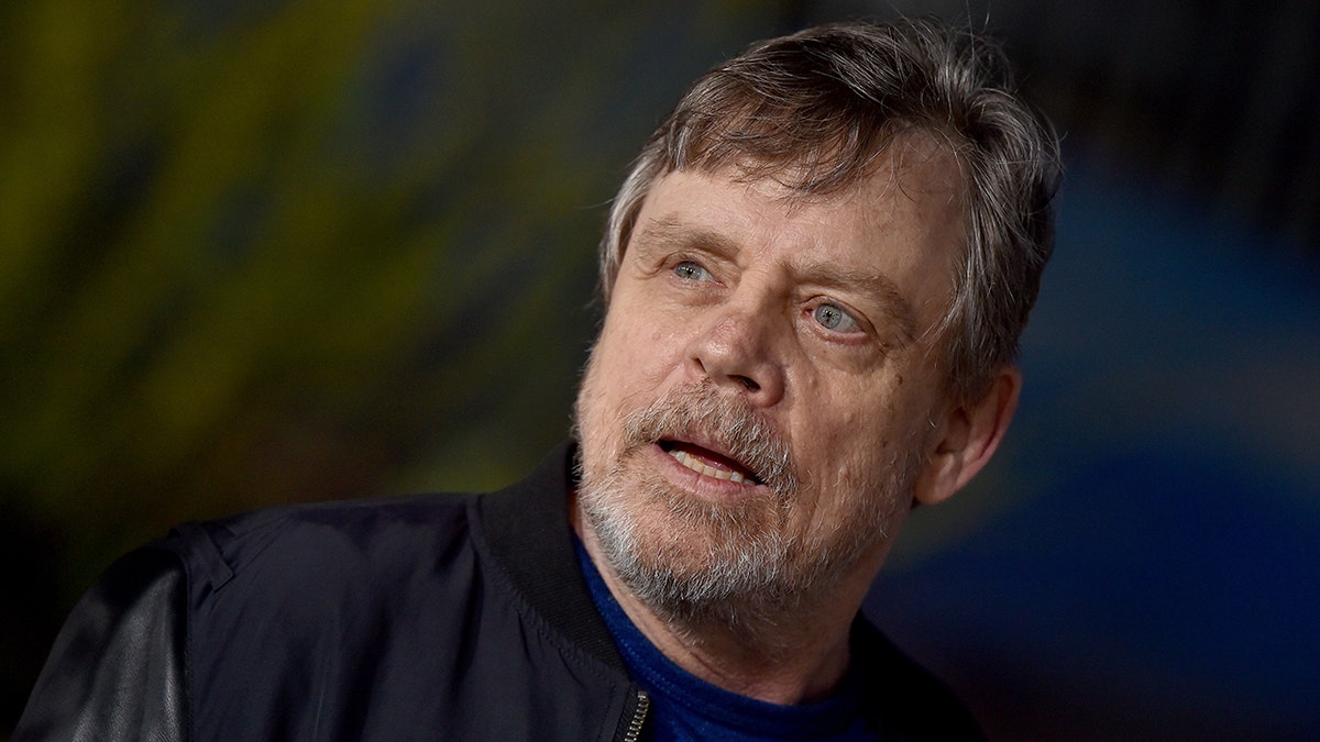 Mark Hamill Netflix