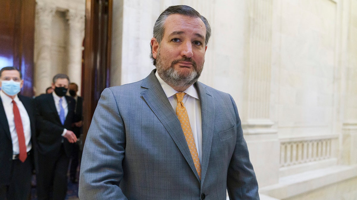 Sen. Ted Cruz, R-Texas, and other members of the Republican Conference leave a luncheon on Capitol Hill in Washington, Wednesday, March 24, 2021. (AP Photo/J. Scott Applewhite)