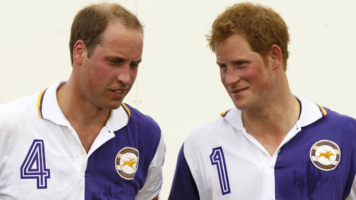 harry william in jerseys