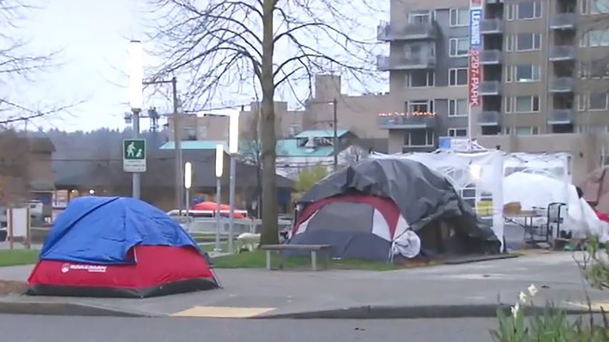 Fox News analyst Lawrence Jones spoke with Seattle residents about the homeless crisis and encampments taking over their neighborhood parks.
