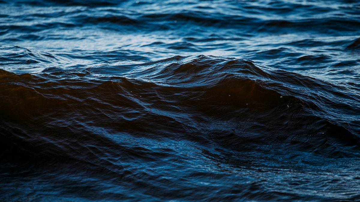 dark blue waves