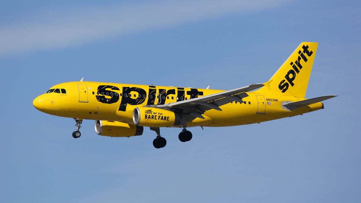 Spirit Airlines Airbus A319 airplane