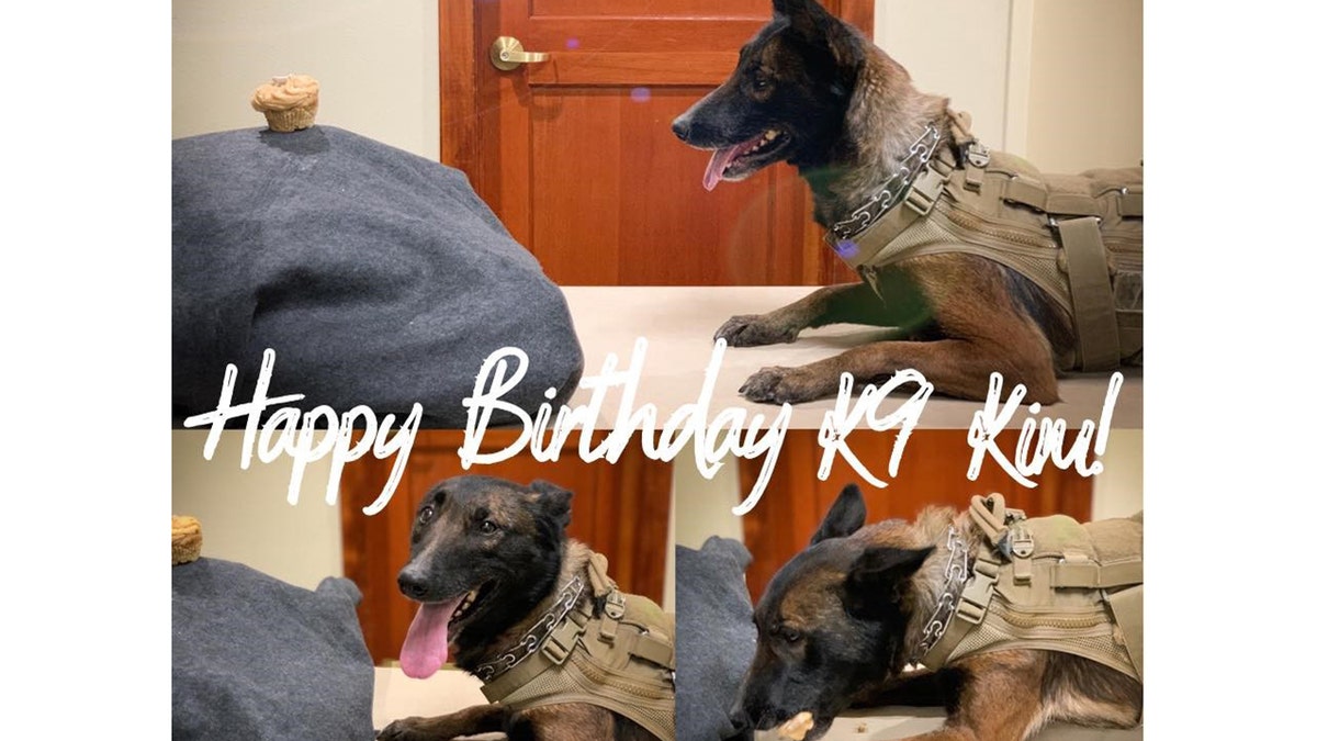 The Bend Police Department wished their K9, Kim, a happy 6th birthday in January.?