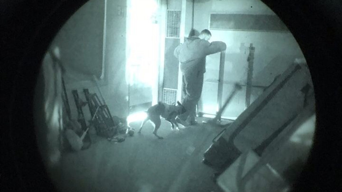 The Bend Police Department's K9, Kim, can be seen here through a nigh vision monocular working a training scenario in complete darkness. 