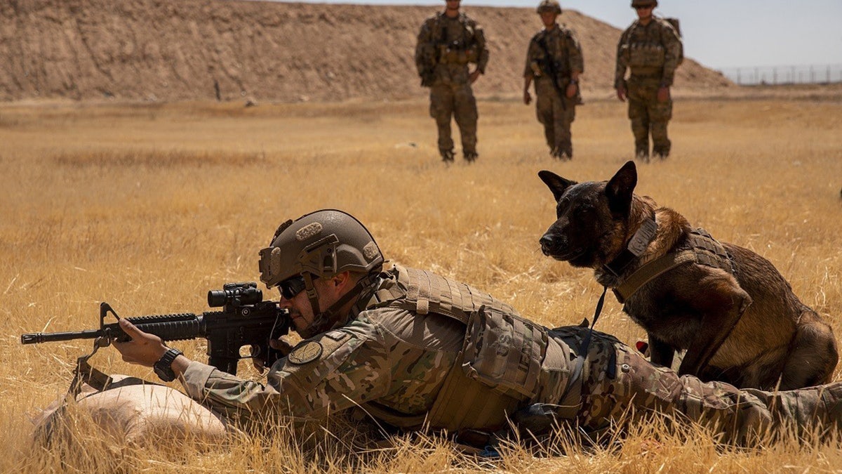 U.S. Army Sgt. Michael Ramirez fires his M4 carbine with his military working dog next to him during a live fire exercise at Al Asad Air Base, Iraq, May 8, 2020. (Credit: US Army/Cover Images) 