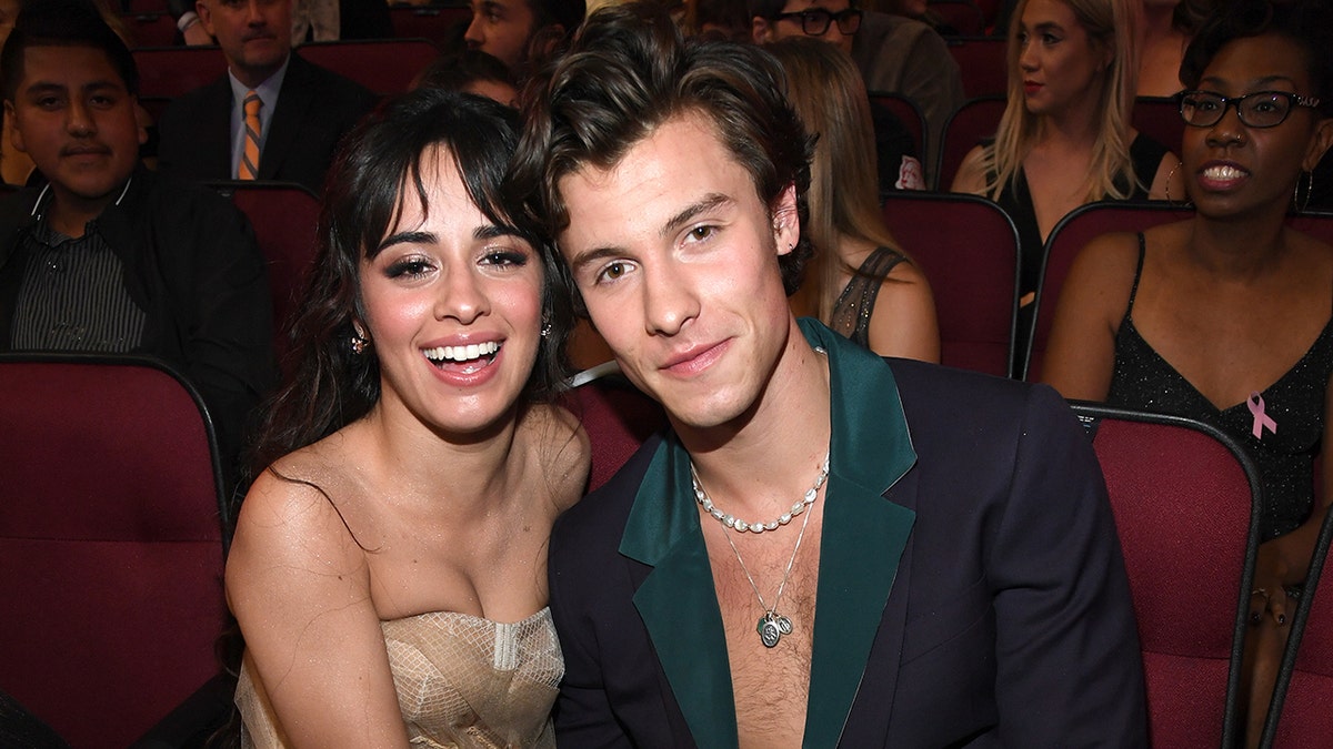 Camila Cabello and Shawn Mendes announced their breakup in November.