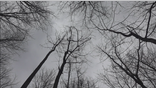 Atlanta food forest becomes a resource for those in need amid the pandemic