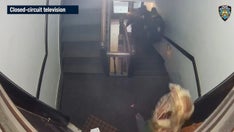 NYC police officers shot while responding to call in Brooklyn, video shows