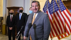 Cruz swats away reporter's request for him to wear a mask: 'You’re welcome to step away if you’d like'