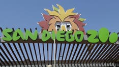 San Diego Zoo’s Skyfari ride vandalized, stranding 100-plus riders, police say; 4 suspects arrested