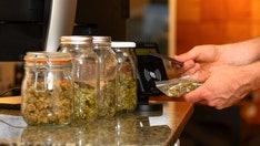 New Jersey residents weigh in on Garden State's first-ever recreational marijuana sales