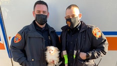 New York cops save dog, cat from burning house after escaping children tell them pets were inside