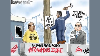 Political cartoon of the day: No police allowed