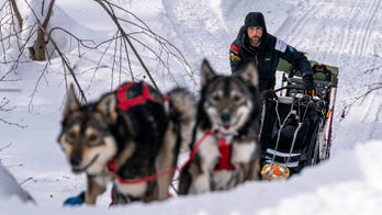 Dallas Seavey wins Iditarod, matches most wins by a musher