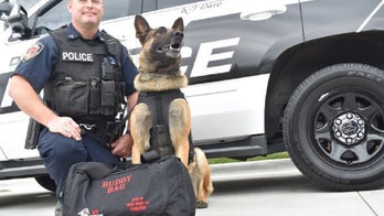 North Carolina police K-9 shot, undergoes surgery, reportedly doing OK