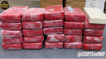 Florida snorkeler finds $1.5 million worth of cocaine