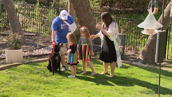 Texas dog helped fight off knife-wielding home intruder, family says