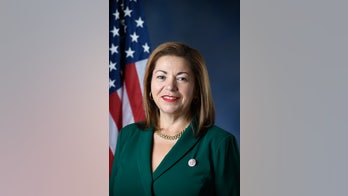 Dem rep says it's not 'appropriate' for reporters to see inside border facilities for migrant children