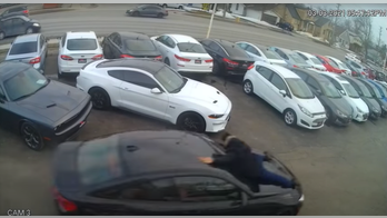 Wild video shows Ontario car salesman tossed from hood as thief drives away