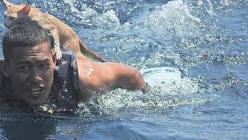 Thai navy sailors rescue cats from sinking ship that caught on fire