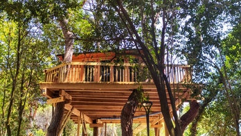 Homeowner told to take down popular treehouse Airbnb because it's not on his property