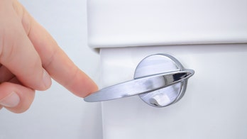 Canada's $645,000 toilet questioned by critics