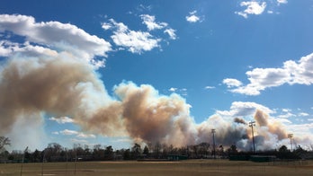 Dozens of homes damaged in massive New Jersey forest fire