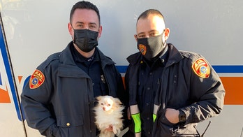 New York cops save dog, cat from burning house after escaping children tell them pets were inside