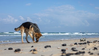 Oil spill into Mediterranean may have Iran connection, Israel says