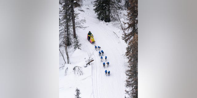 Wade Marrs mushes between Puntilla Lake and Finger Lake on Sunday, March 14, 2021, during the Iditarod, in Alaska. (Loren Holmes/Anchorage Daily News via AP, Pool)