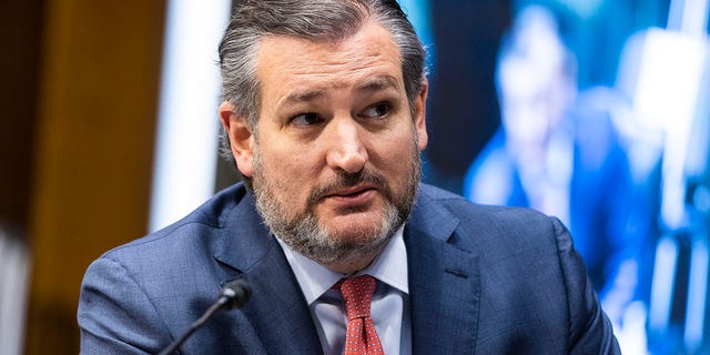 R-Texas'tan Senatör Ted Cruz, 23 Mart 2021'de Washington'daki Capitol Hill'de Senato Dış İlişkiler Komitesi oturumu sırasında konuşuyor.