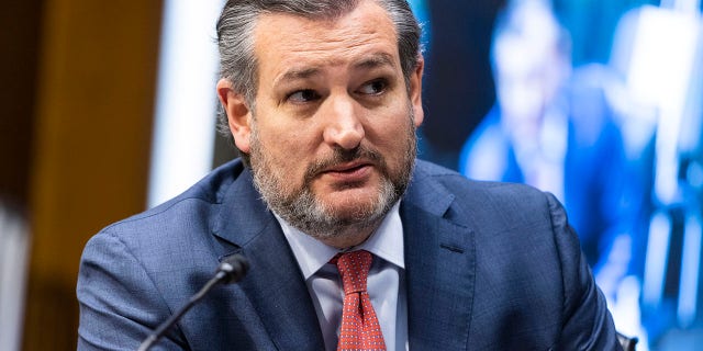 Sen. Ted Cruz, R-Texas, speaks during a Senate Foreign Relations Committee hearing Tuesday, March 23, 2021, on Capitol Hill in Washington. (Greg Nash/Pool via AP)