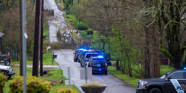 Police respond to a downed tree across 1st Ave W on a day of extended severe weather, Thursday, March 25, 2021, in Helena, Ala. (AP Photo/Vasha Hunt)
