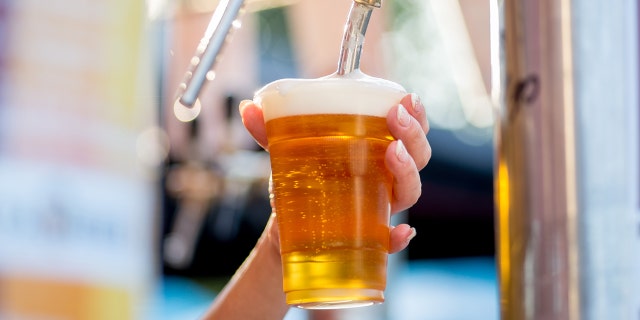 Woodstock Brewing is donating proceeds of its Emotional Support Beer (not pictured) to Operation At Ease, which is a charity that pairs shelter dogs with deserving veterans and first responders. (iStock)
