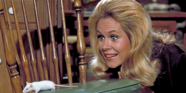 Elizabeth Montgomery in 'Bewitched.' (Getty Images)