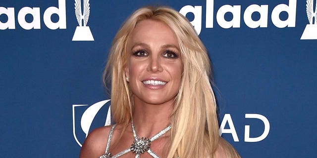 'Framing Britney Spears' examined the singer's life and career. (Photo by Alberto E. Rodriguez/Getty Images)